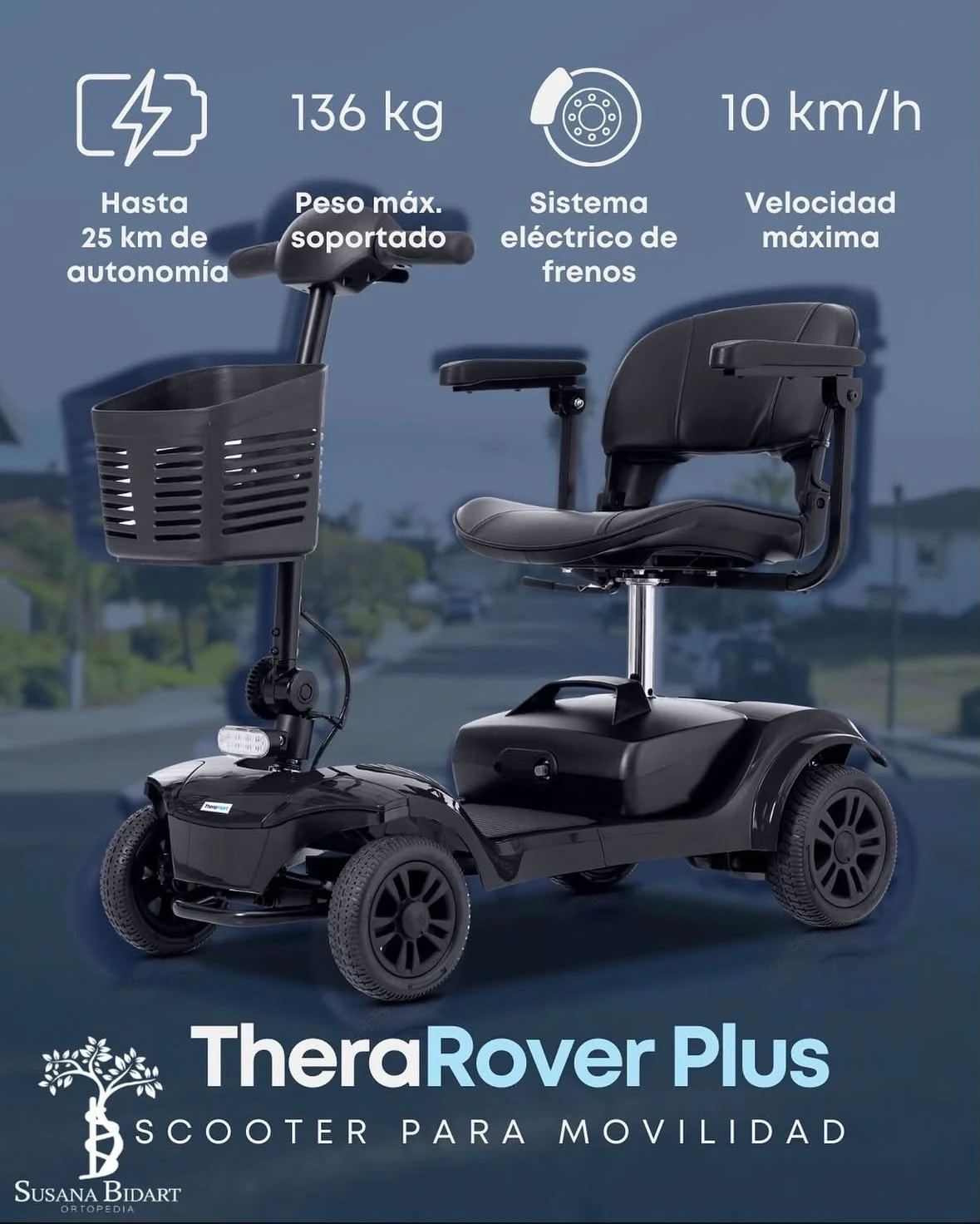 TheraRover Plus